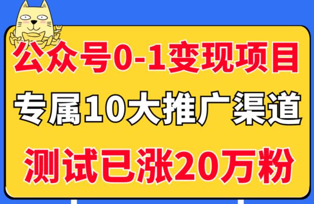 从零到一：5个公众号实现变现策略与10大推广途径，粉丝突破20万！