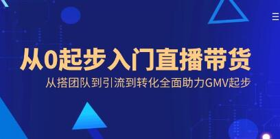 从零开始直播带货：全面支持GMV增长，涵盖团队搭建、引流与转化策略