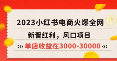米杰《小红书电商项目》带你从零基础走向精英，实战教学，单店收益轻松突破3000-30000元