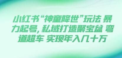 小红书神奇天才的方式：通过暴力起号，在私域中打造财富》以及 “超越竞争对手：在弯道上取胜”