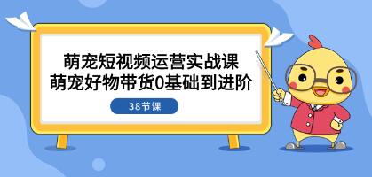 实战课程：从零基础到进阶的萌宠短视频运营与好物推荐