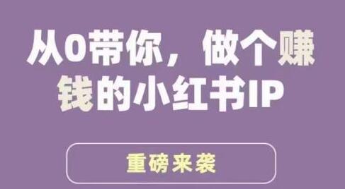 谢无敌的《小红书运营实战课程》：从零基础到成为一个盈利的小红书内容创作者