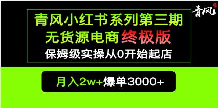 小红书零货源电商爆单终极指南：保姆级实操教程，从0开始店铺迅速爆单