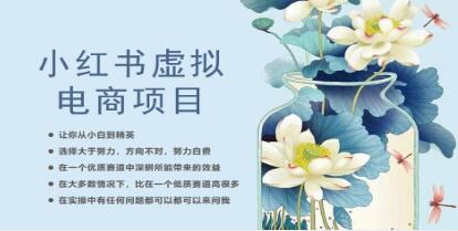 小红书：从零开始的虚拟电商之旅——让你从新手成长为专家