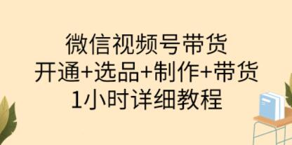 陈奶爸亲授视频号带货教：从开通到选品到制作到带货