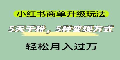 小红书商家单项提升策略：5天获得千粉，5种盈利途径