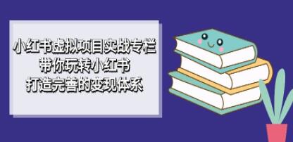 掌握小红书虚拟项目实战的专家指南：打造全面的盈利策略与实践操作