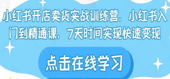 从入门到精通：小红书实战训练营，掌握在小红书开店卖货的技巧