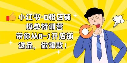 从零到一：小红书0粉丝店铺成功秘籍与热销商品打造课程